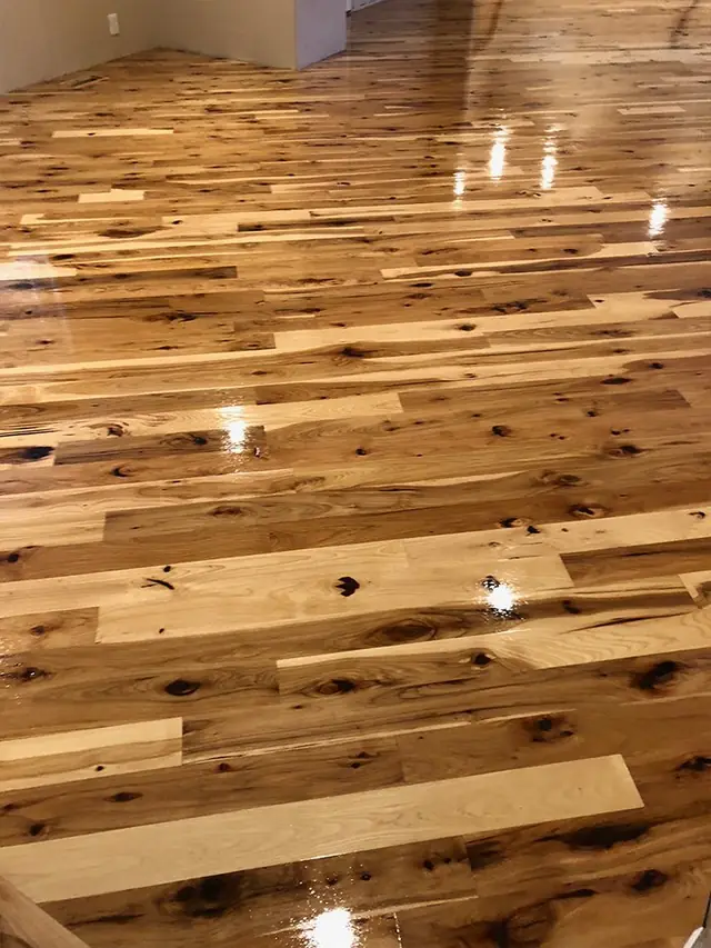 Close view of a high-gloss wide-grain plank floor